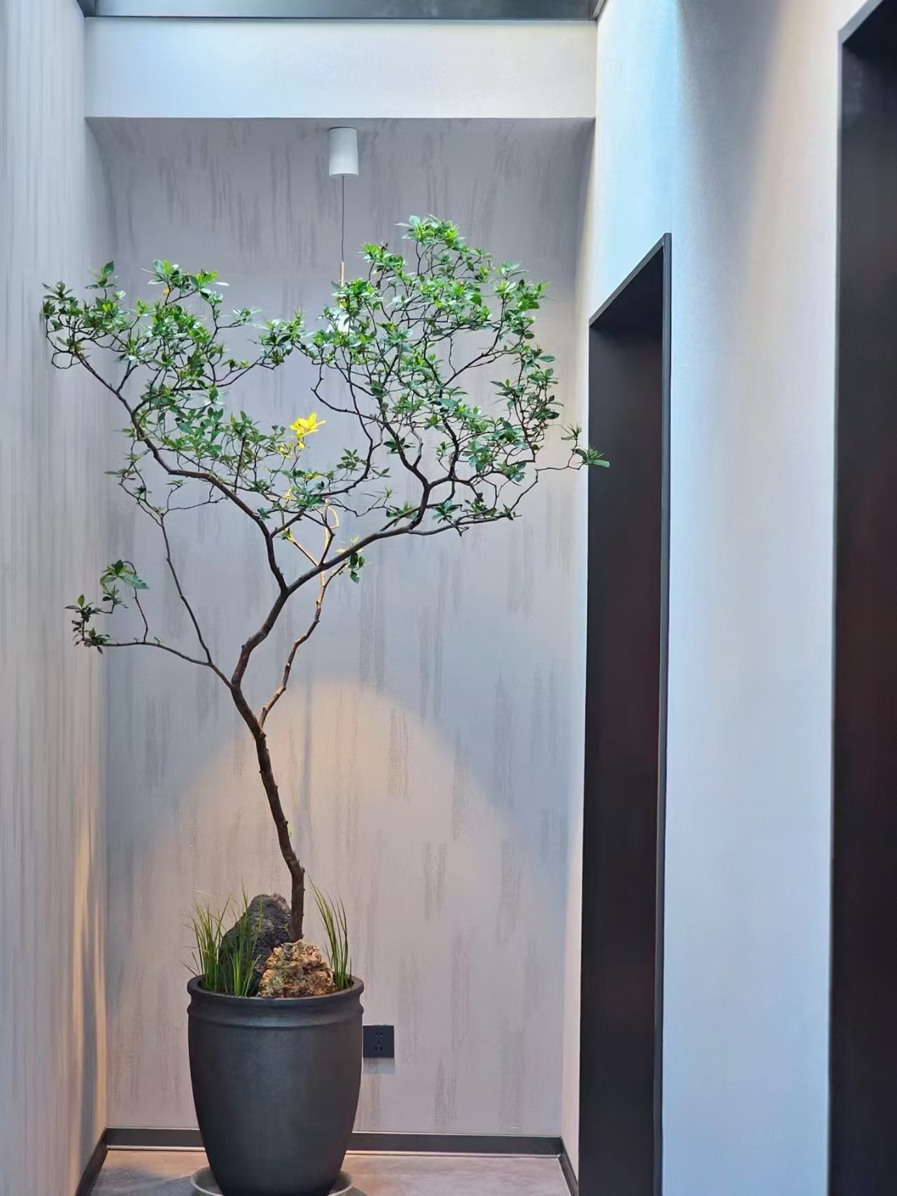 海岛春花